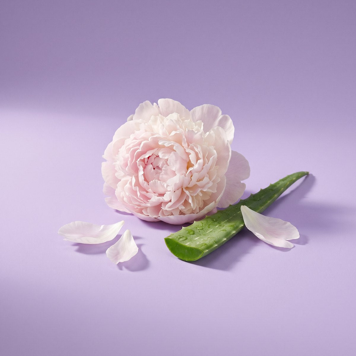 Soothing botanicals
